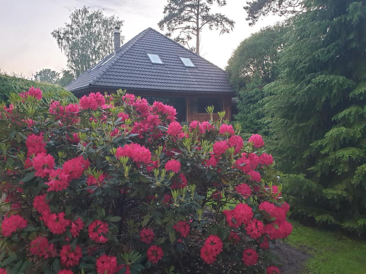 Bitte Three Bedroom Design Cottage Jūrkalne Dış mekan fotoğraf